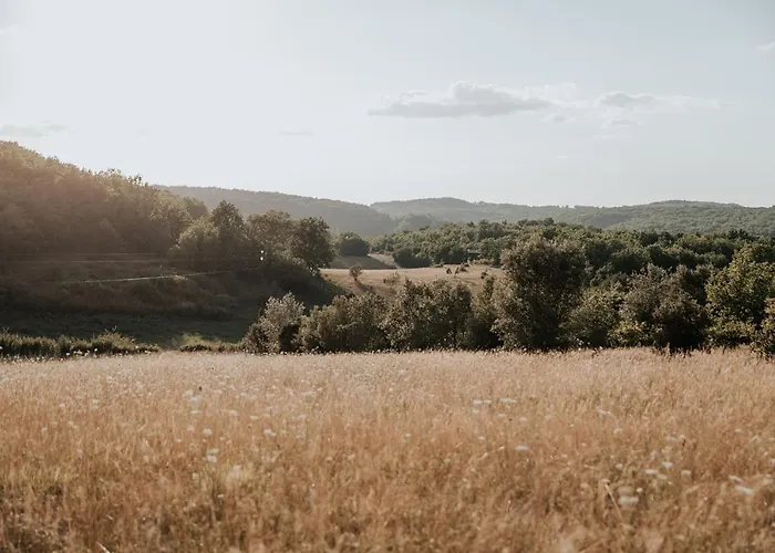 Domaine St-Amand