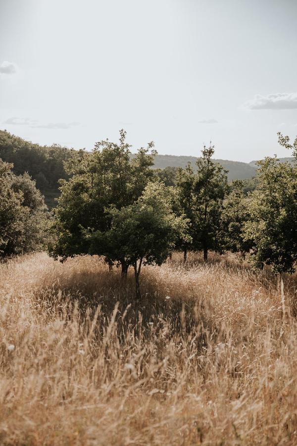 Domaine St-amand